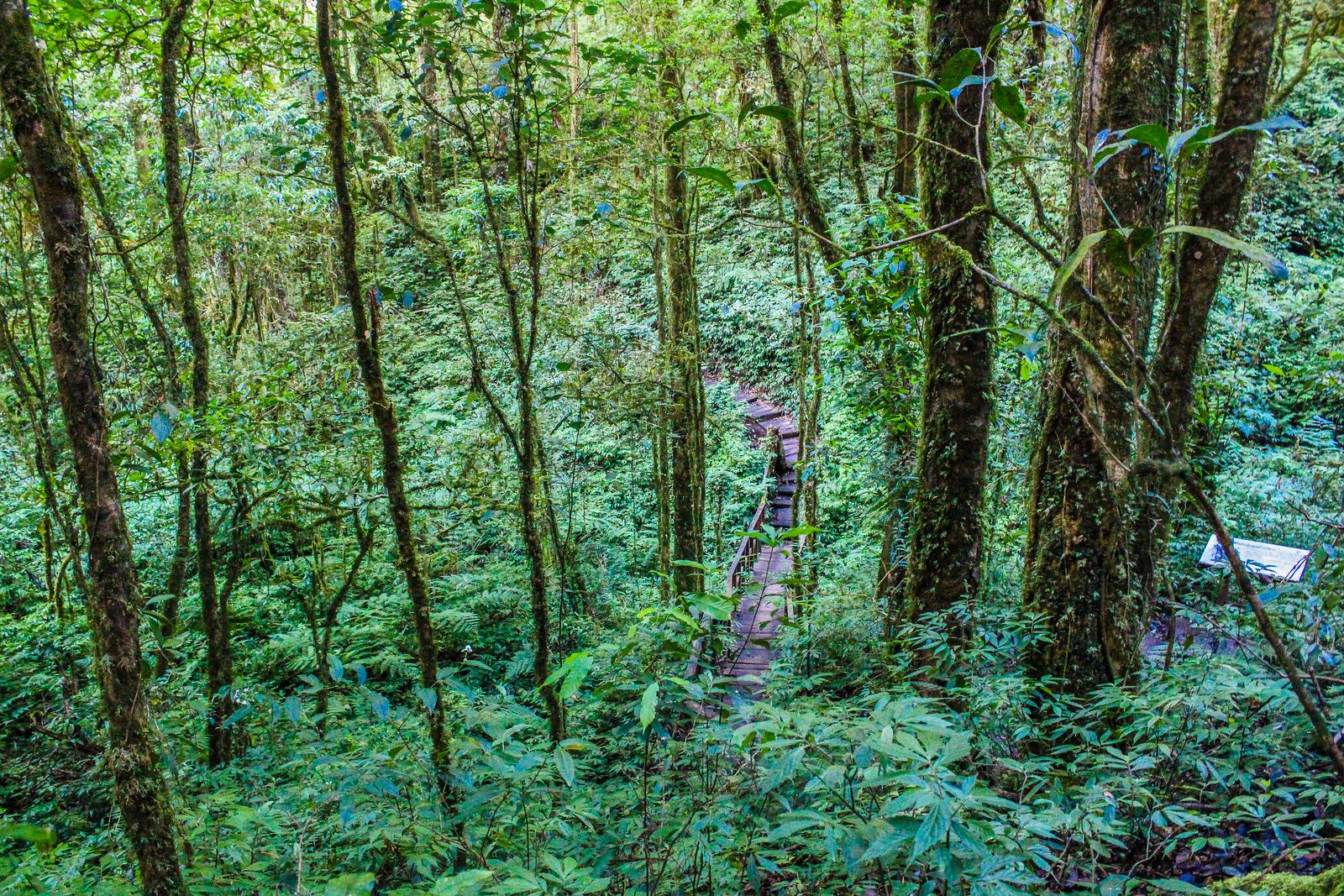El Yunque Waterfalls & Waterslide Beach
